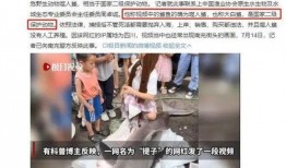 爆料网红吃鲨鱼视频大全,惊悚视频大盘点